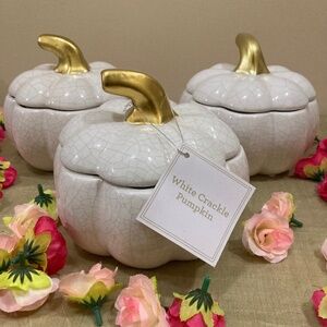 White Crackle Ceramic Pumpkins, set of 3!